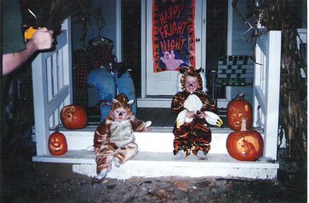 A baby, bear and tiger