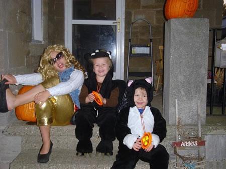 A bat, a cat and a sharpay