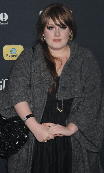 Adele Hairstyle