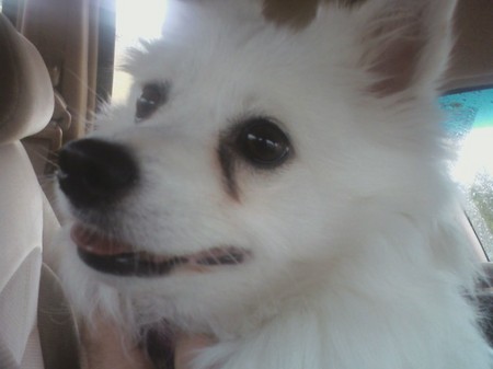 Always smiling