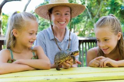 Amelia Island Plantation - Florida - Activities