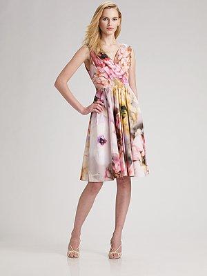 Behnaz Sarafpour Garden Print Dress
