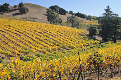 Sonoma Valley, California