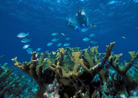 Biscayne National Park, Florida