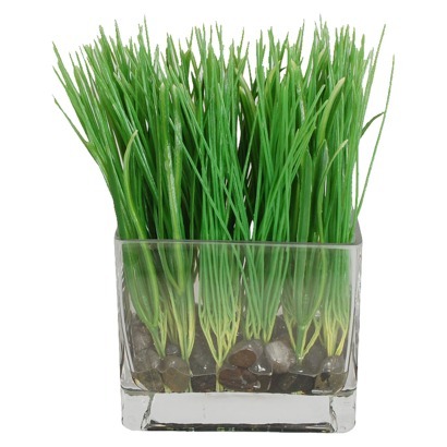 Grass in a Glass Vase with Stones 15"x17"x17"