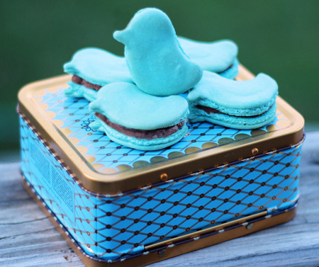 Blue bird macarons 