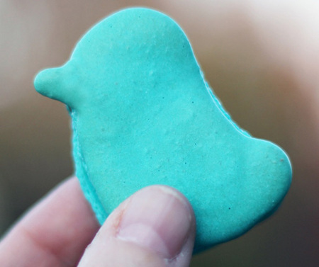 Blue bird macarons 