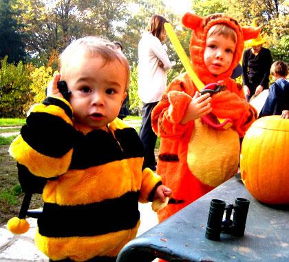 Buzzing around with friends
