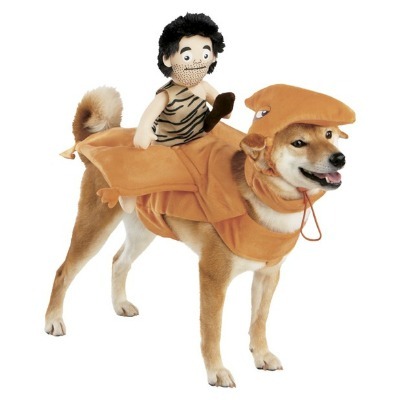 Caveman Pterodactyl Pet Costume