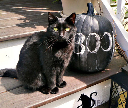 Chalkboard pumpkin