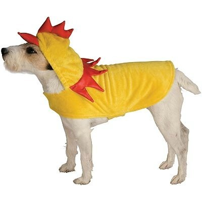 Chicken Pet Costume