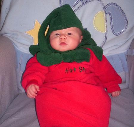 Chili pepper