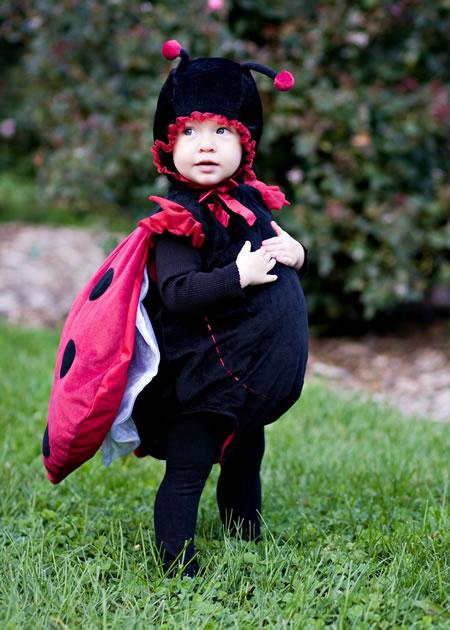Ladybug