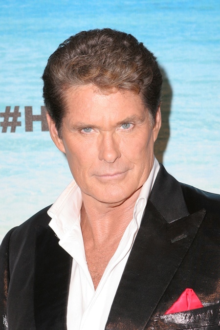 DWTS new cast? David Hasselhoff