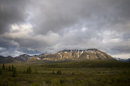 Denali National Park, Alaska
