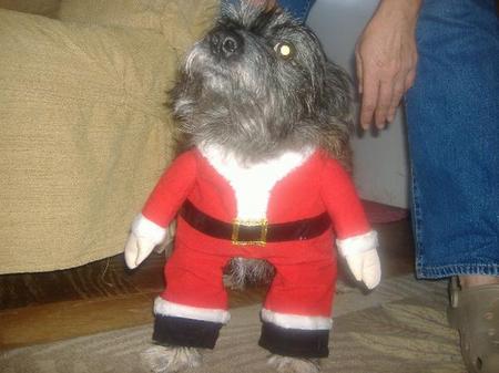 Doggie Claus