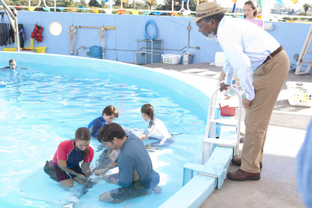 Harry Connick Jr. in "Dolphin Tale"