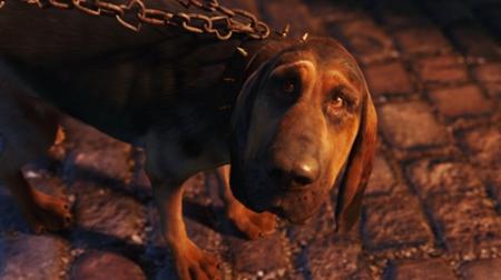The Bloodhound