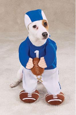 A first round draft pick