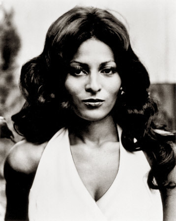 Pam Grier as Foxy Brown in Foxy Brown