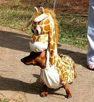 What a neck!