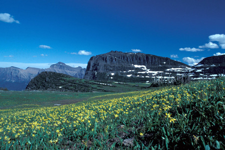 Glacier National Park, Montana