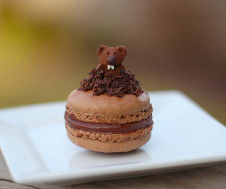 Ground hog macarons