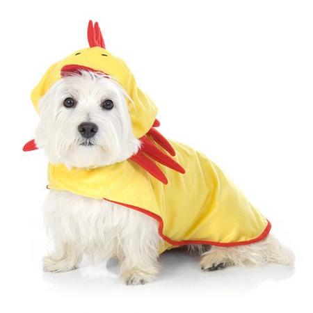 Chicken Costume for Dogs