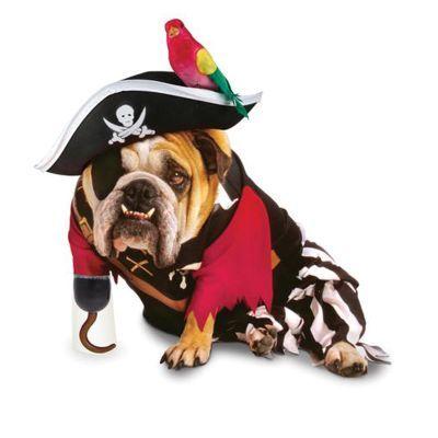 Pirate Costume for Dogs