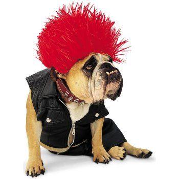 Punk Dog Costume