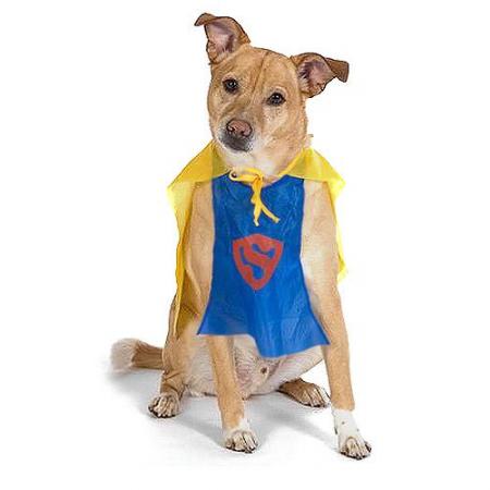 Superhero Halloween Costumes on Super Hero Fashion Pet Costume   Pet Halloween Costumes