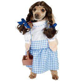 Wizard of Oz Dorothy Pet Costume