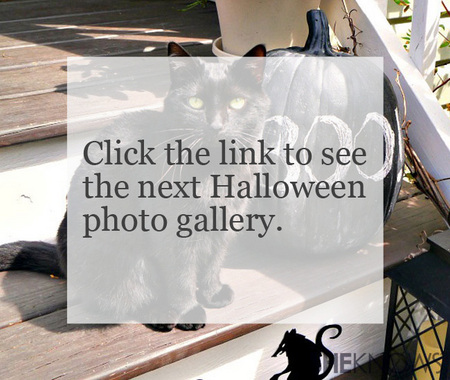More Halloween photo galleries