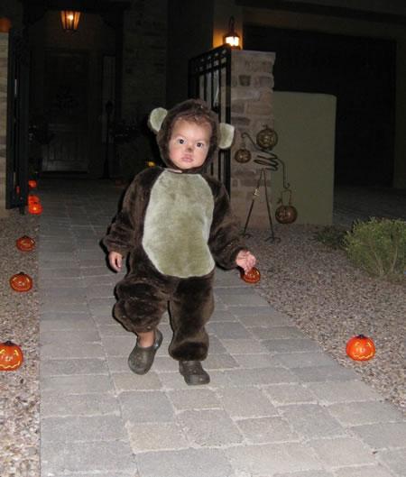 He's a cute bear