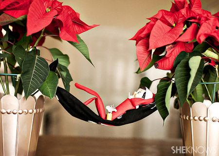 Elfie takes a siesta   