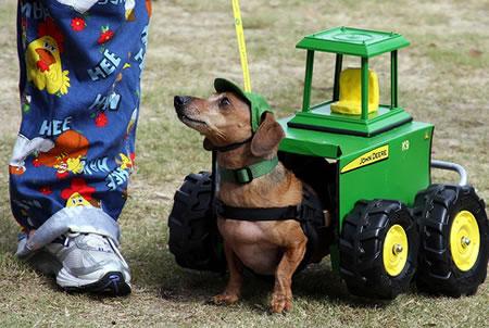 John Dog, not Deere.