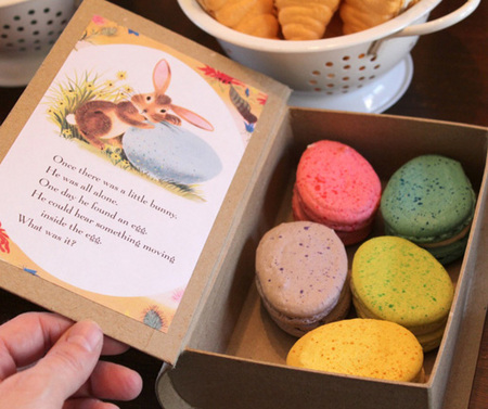 Macaron book packaging 
