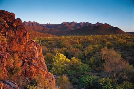 the mcdowell sonoran preserve in scottsdale romantic getaways McDowell Sonoran Preserve 450x299 the mcdowell sonoran preserve in scottsdale romantic getaways McDowell Sonoran Preserve 450x299