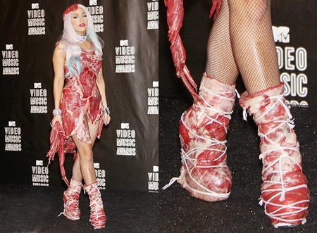 Lady Gaga’s Meat Shoes