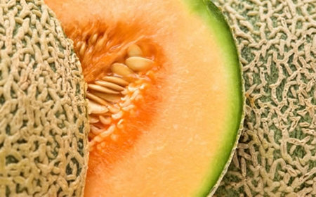 Tasty Cantaloupe