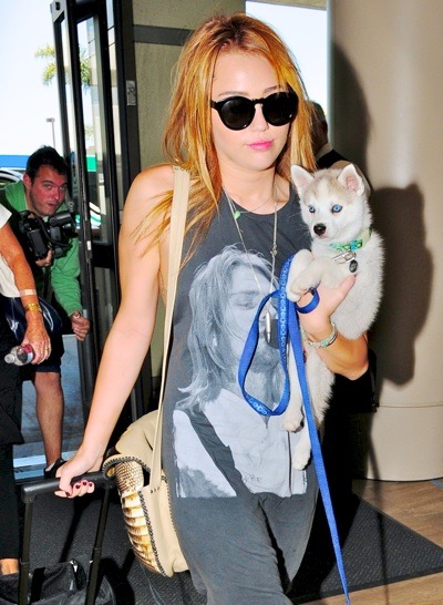 Miley Cyrus in a rocker tank top