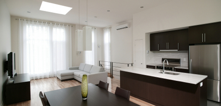 Modern Great Room