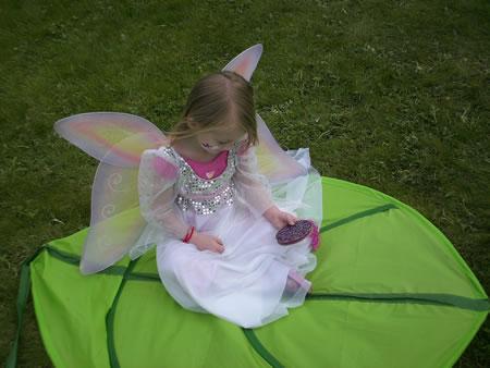 Fairy