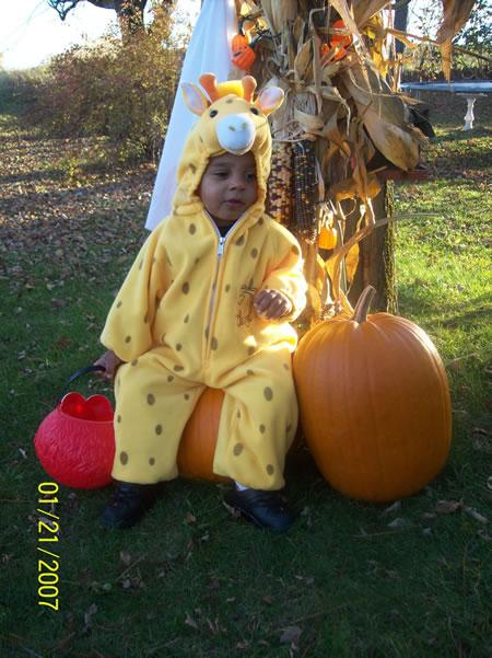 Giraffe