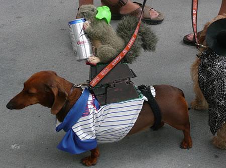 We have no idea what this Cubs-inspired costume is.