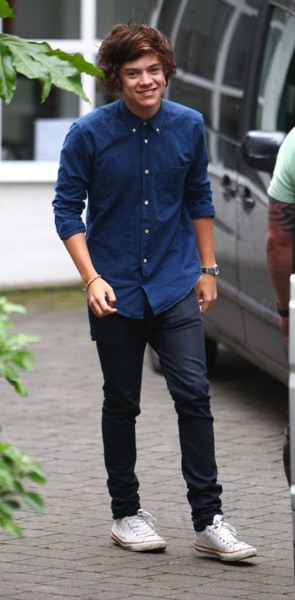 One Direction's Harry Styles gets casual 