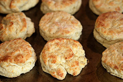 Parmesan biscuits
