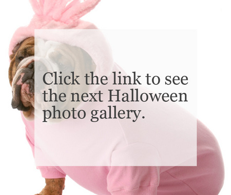 More Halloween photo galleries