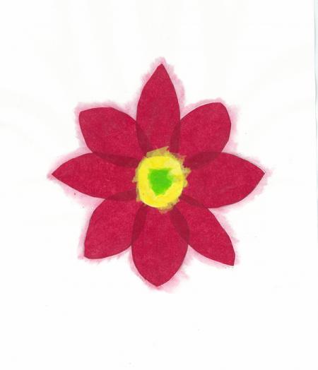 Phoenix Children's Hospital Poinsettia Holiday Card 2009