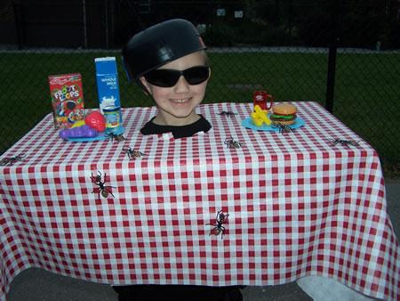 Picnic invader